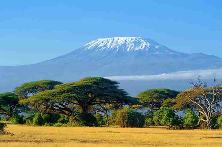 Climbing Mount Kilimanjaro