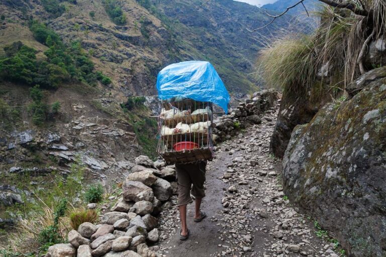 Nepalese Sherpa Hiking Mountain